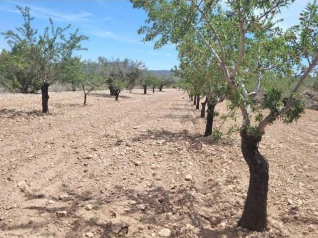 Terreno en venta en el Vinalopó Mitjà / El Vinalopó Medio, Valencia