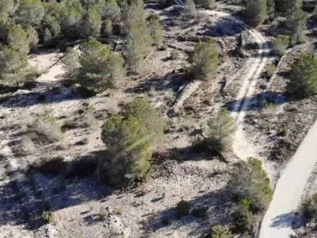 Terreno en venta en el Vinalopó Mitjà / El Vinalopó Medio, Valencia