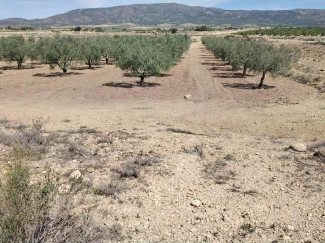 Terreno en venta en el Vinalopó Mitjà / El Vinalopó Medio, Valencia
