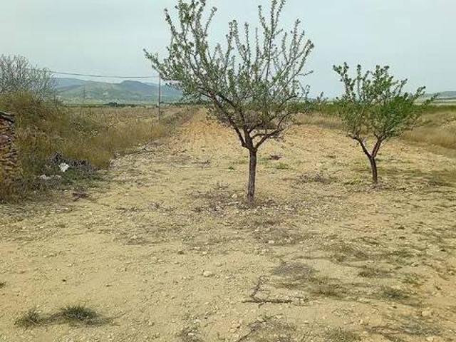 Terreno en venta en el Manyar, el Vinalopó Mitjà / El Vinalopó Medio