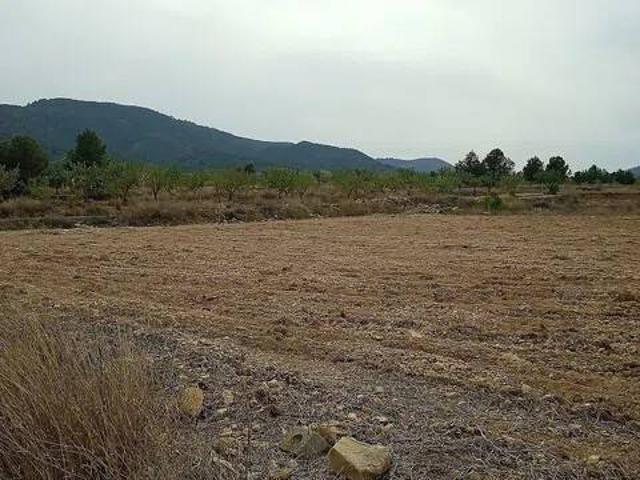 Terreno en venta en el Manyar, el Vinalopó Mitjà / El Vinalopó Medio