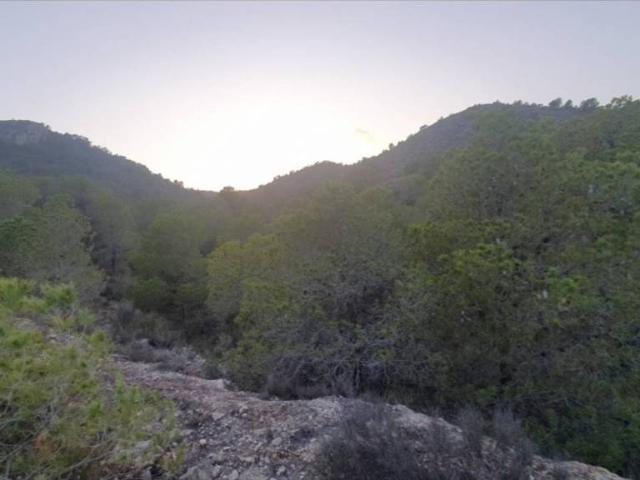 Terreno en venta en el Vinalopó Mitjà / El Vinalopó Medio, Valencia