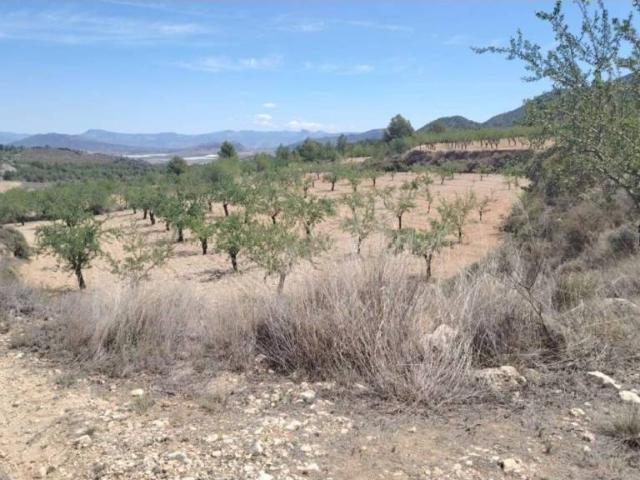 Terreno en venta en el Vinalopó Mitjà / El Vinalopó Medio, Valencia