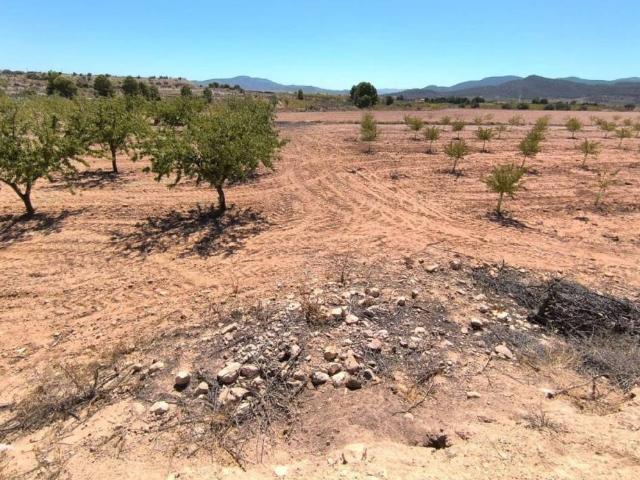 Terreno en venta en el Vinalopó Mitjà / El Vinalopó Medio, Valencia