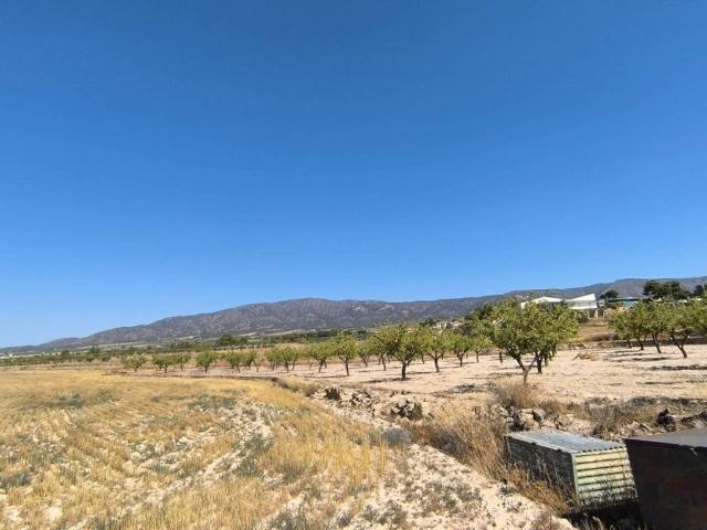 Terreno en venta en el Vinalopó Mitjà / El Vinalopó Medio, Valencia
