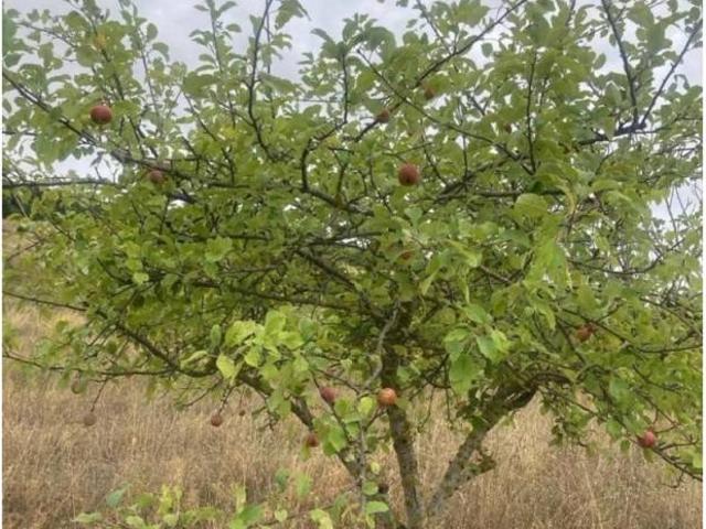 Terreno en venta en Pirinioaurrea, Navarra