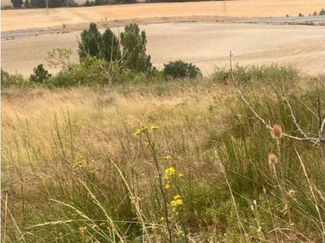 Terreno en venta en Pirinioaurrea, Navarra