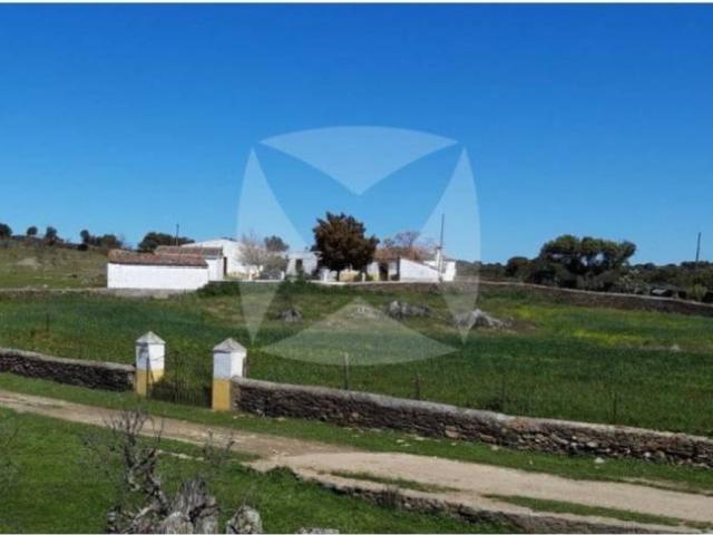 Terreno en venta en Monroy, Extremadura