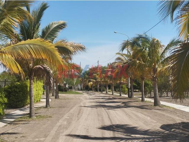 Terreno venta en Monsefu, Lambayeque