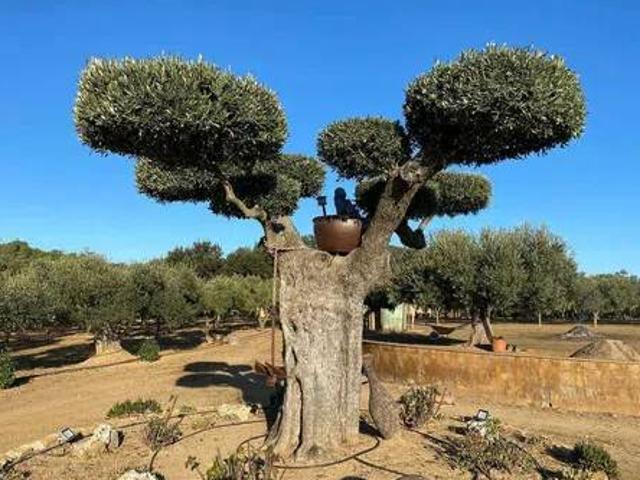 Terreno en venta en Baix Empordà, Catalunya