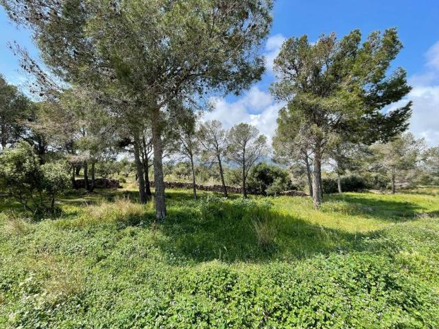 Terreno en venta en Baix Camp, Catalunya