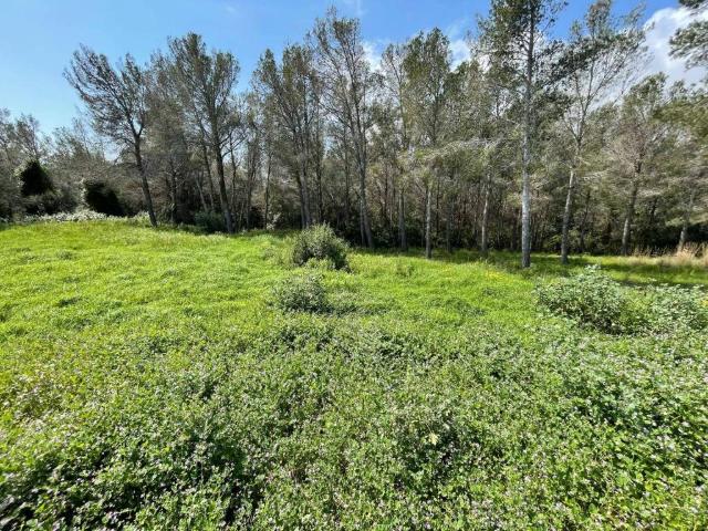 Terreno en venta en Baix Camp, Catalunya