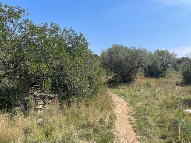 Terreno en venta en Baix Camp, Catalunya