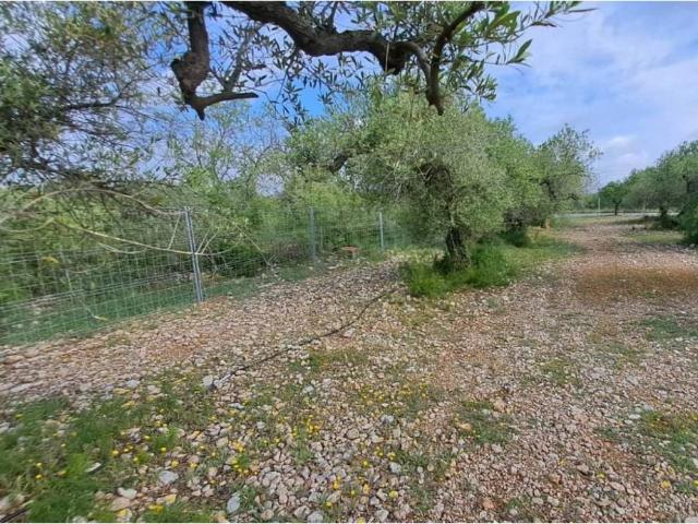 Terreno en venta en Baix Camp, Catalunya