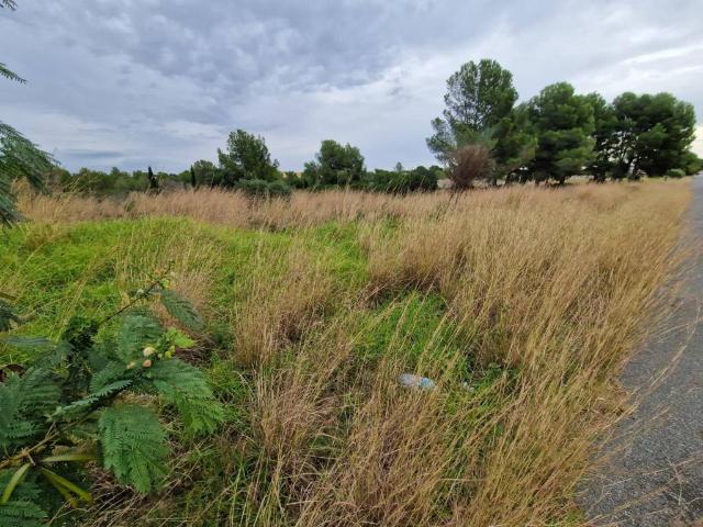 Terreno en venta en Mont-roig Del Camp