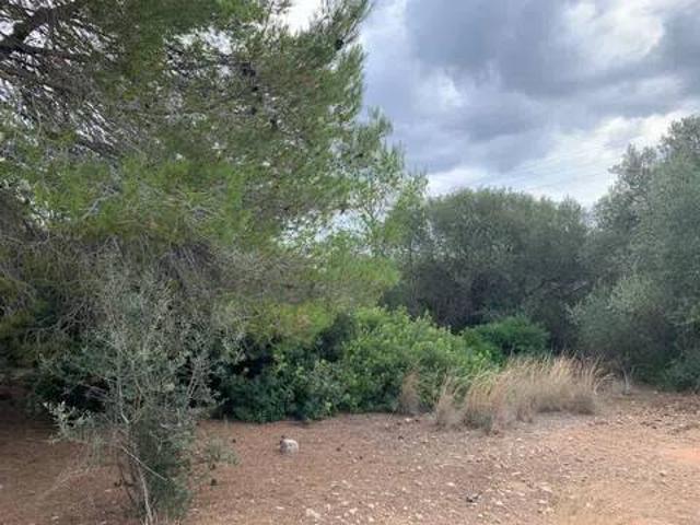 Terreno en venta en Baix Camp, Catalunya