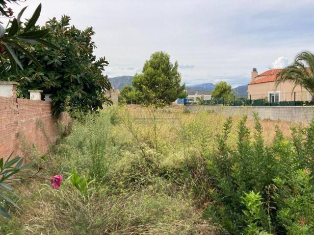 Terreno en venta en Mont-roig Del Camp