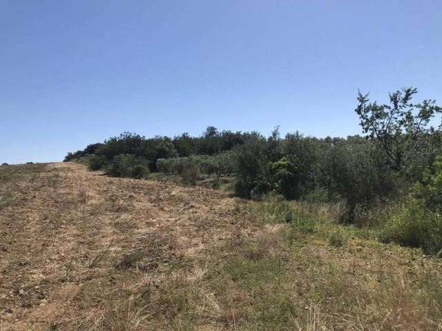 Terreno en venta en Baix Camp, Catalunya