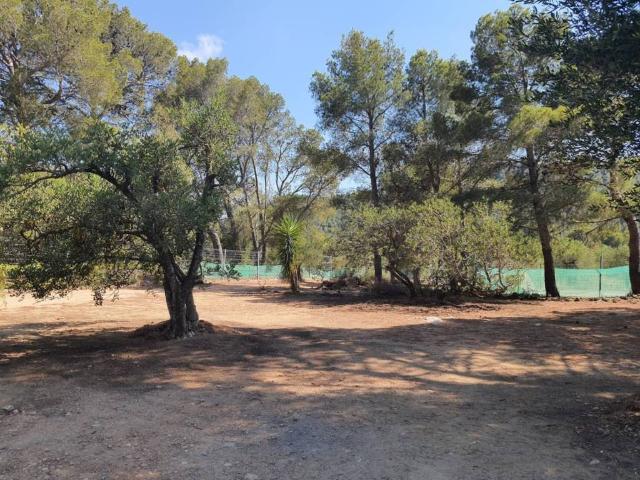 Terreno en venta en Baix Camp, Catalunya