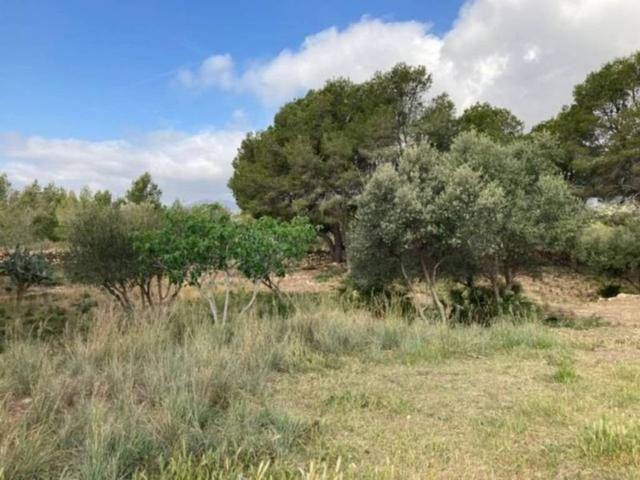 Terreno en venta en Mont-roig del Camp, Tarragona