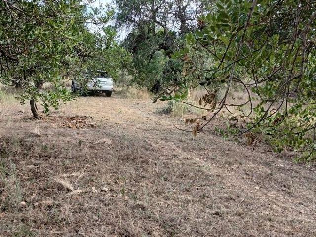 Terreno en venta en Baix Camp, Catalunya