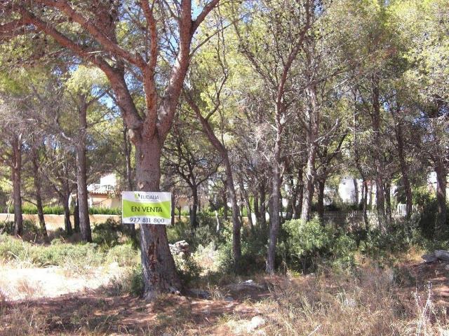 Terreno en venta en Mont-roig Del Camp