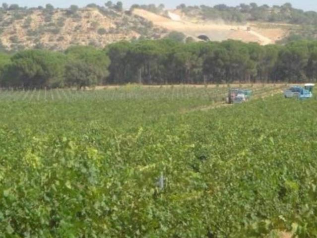 Terreno en venta en Montalvos, Castilla-La Mancha