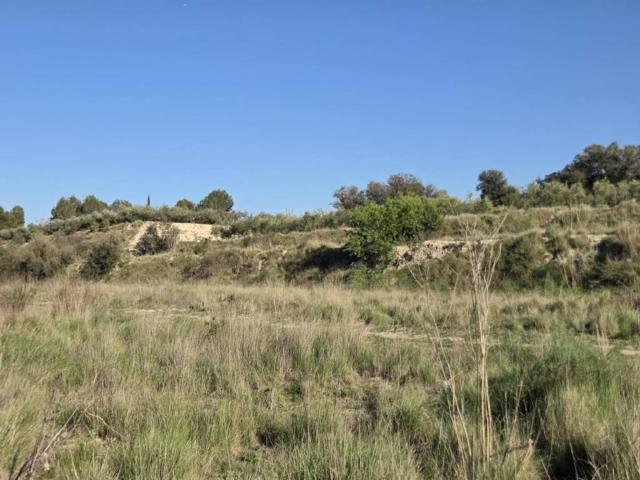 Terreno en venta en la Vall d'Albaida, Valencia