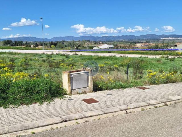 Terreno en venta en la Vall d'Albaida, Valencia