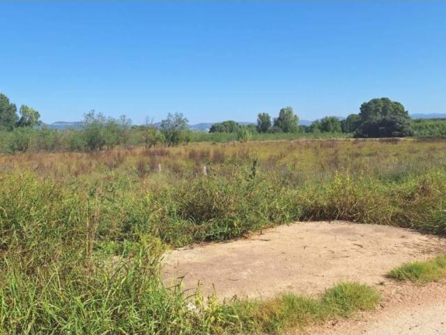 Terreno en venta en la Vall d'Albaida, Valencia