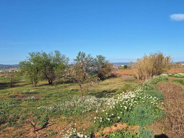 Terreno en venta en la Vall d'Albaida, Valencia