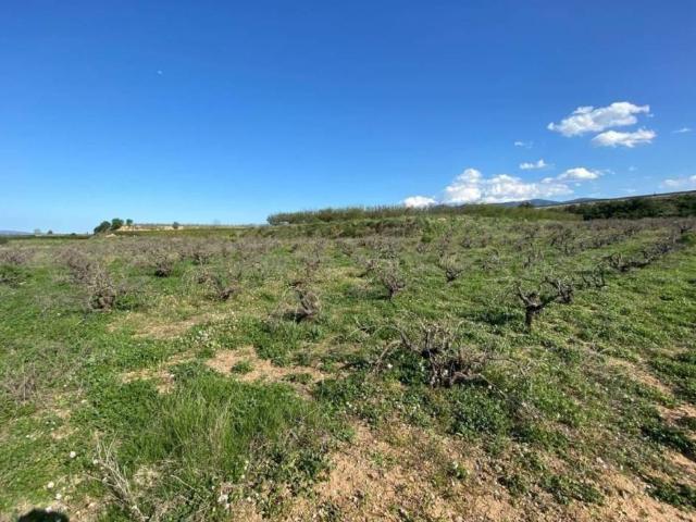 Terreno en venta en la Vall d'Albaida, Valencia