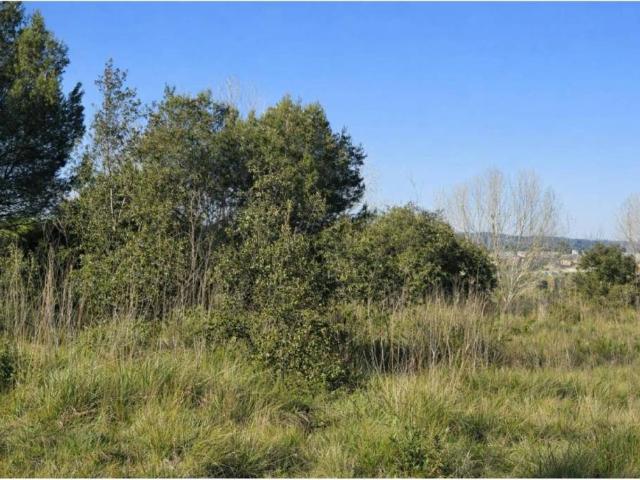 Terreno en venta en la Vall d'Albaida, Valencia