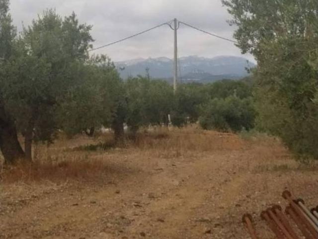 Terreno en venta en Baix Camp, Catalunya