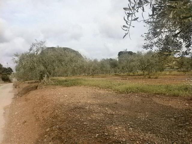 Terreno en venta en Baix Camp, Catalunya