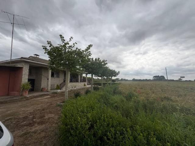 Terreno en venta en Montearagón, Castilla-La Mancha