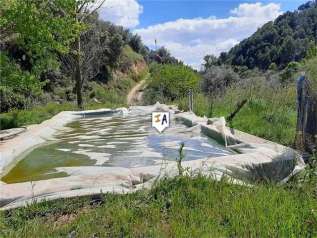 Terreno en venta en Comarca de Loja, Andalucía