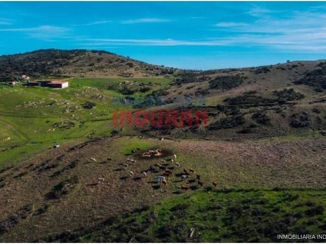 Terreno en venta en Montemolín, Extremadura