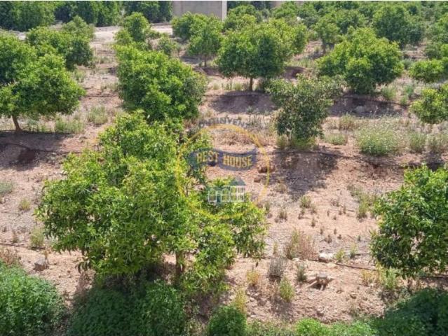 Terreno en venta en la Costera, Valencia