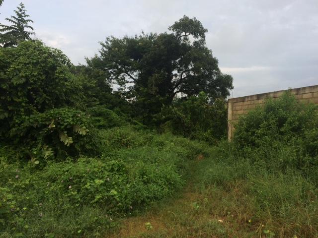 Propiedad en venta en La Cumaca, Carabobo