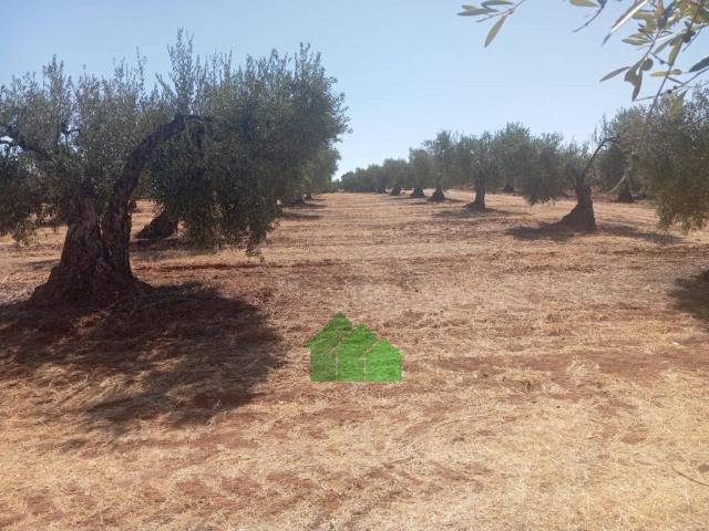 Terreno en venta en Montijo, Extremadura