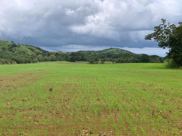 Terreno venta en Montijo