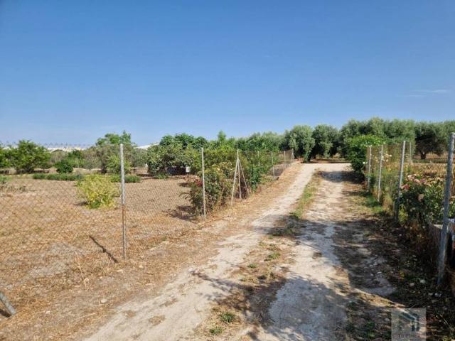 Terreno en venta en Montilla, Andalucía
