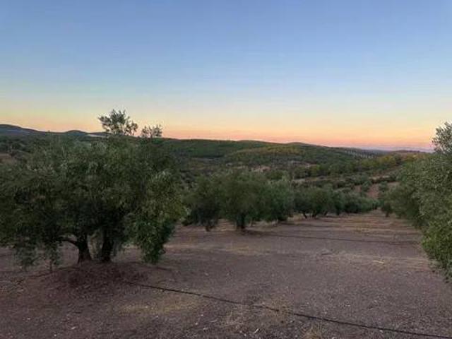 Terreno en venta en Montizón, Andalucía