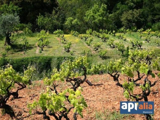 Terreno en venta en Vallès Oriental, Catalunya