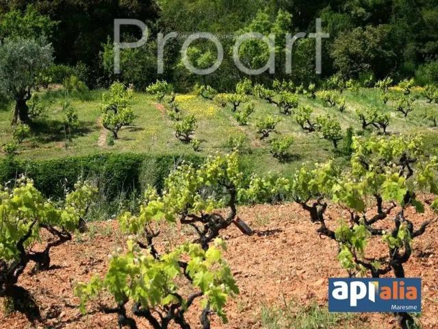 Terreno en venta en Vallès Oriental, Catalunya