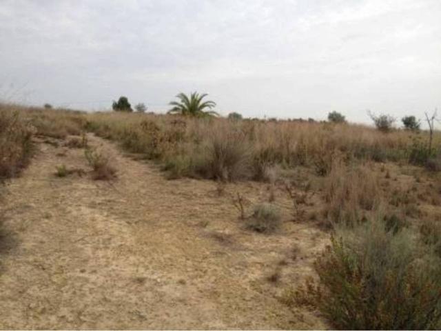 Terreno en venta en la Ribera Alta, Valencia