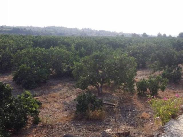 Terreno en venta en Montroi / Montroy, València / Valencia