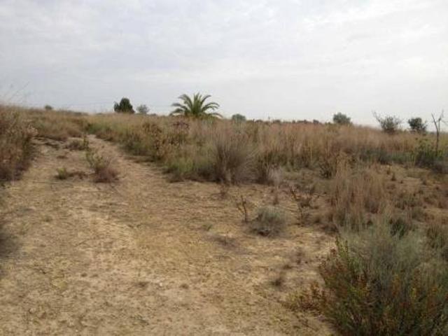 Terreno en venta en la Ribera Alta, Valencia