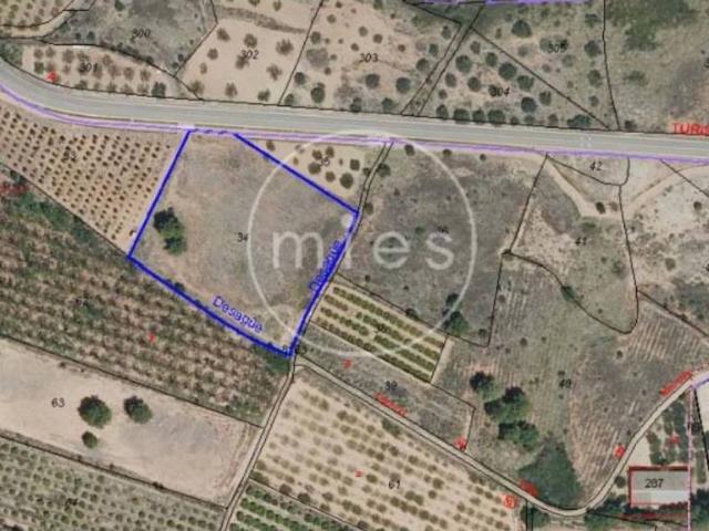 Terreno en venta en la Ribera Alta, Valencia